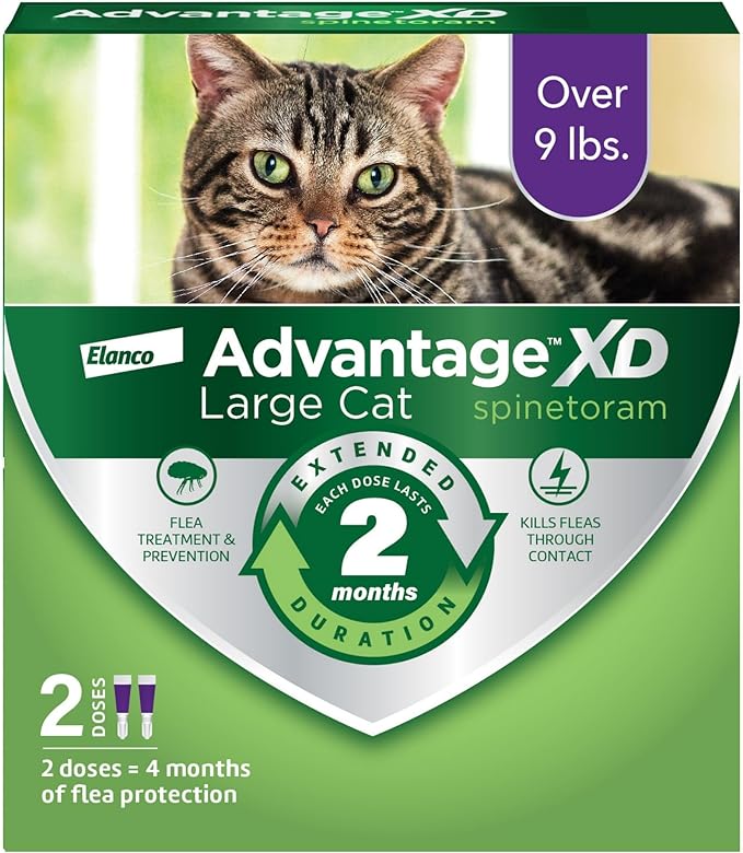 Advantage XD Large Car Purple 2 Dose