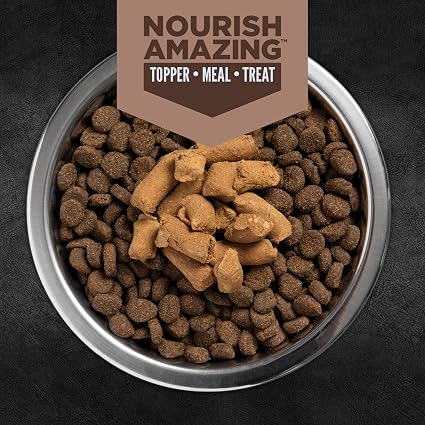 ORIJEN Epic Bites Freeze-Dried Dry Dog Food Regional Red Recipe 6oz Bag