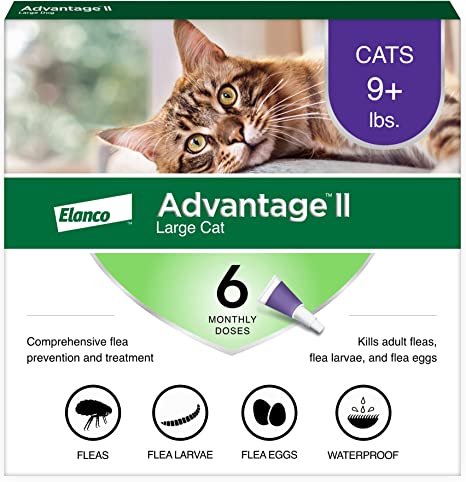 Advantage II Purple 6 pack Cats 9 Lbs & over