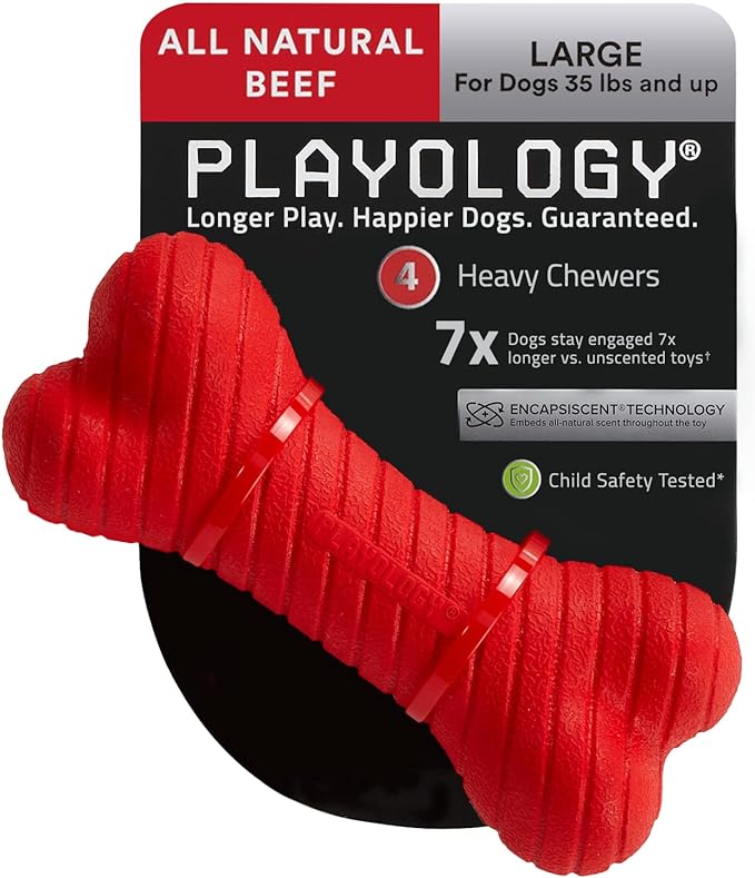 Playology
