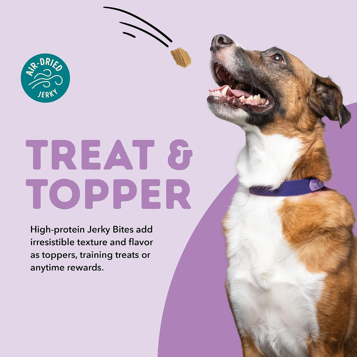 ACANA Jerky Bites Dog Treats Duck Recipe 6oz Bag