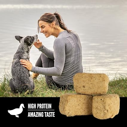 ORIJEN WHOLEPREY Freeze Dried Dog Treats Free Run Duck 3.25oz Bag