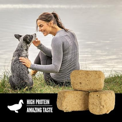 ORIJEN WHOLEPREY Freeze Dried Dog Treats Free Run Duck 3.25oz Bag