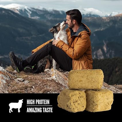 ORIJEN WHOLEPREY Freeze Dried Dog Treats Grass Fed Lamb 3.25oz Bag
