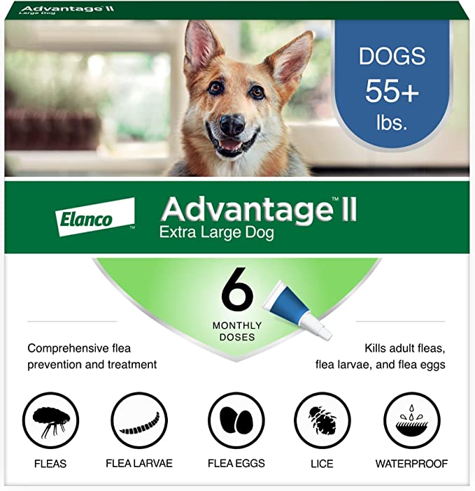 Advantage II Blue 6 pack Dogs over 55 Lbs
