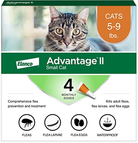 Advantage II Orange 4 pack  Cats 5 - 9 lbs