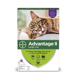 Advantage II Purple 12 pack  Cats 9 lbs &over