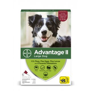 Advantage Red II 12 pack- Dogs 21-55 Lbs