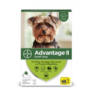 Advantage II Green 12 pack- Dogs 10 Lbs & Under