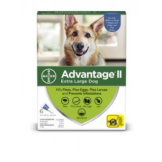 Advantage Blue II 12 pack- Dogs over 55 Lbs