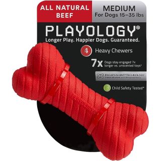 Playology Dual Layer Bone Dog Toy, for Medium Dog Breeds (15-35lbs) Beef Scented