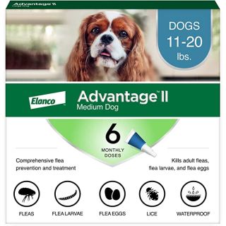 Advantage II Teal 6 pack- Dogs 11 - 20 Lbs