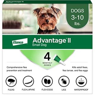Advantage II Green 4 pack - Dogs 10 Lbs & under