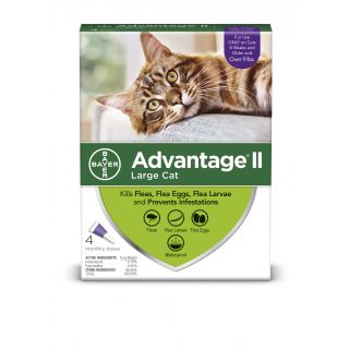 advantage large cat 4 pack