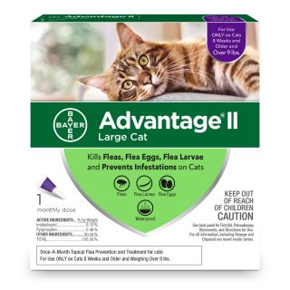 advantage 2 small cat 6 pack