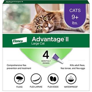 Advantage II Purple 4 pack  Cats  9 lbs & over