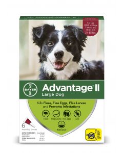 Advantage II Red 6 pack- Dogs 21 - 55 Lbs